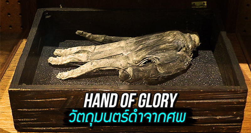 เปิดตำนาน “Hand of Glory” วัตถุมนตร์ดำจากศพ ที่เหล่าอาชญากรอยากได้มาครอบครอง
