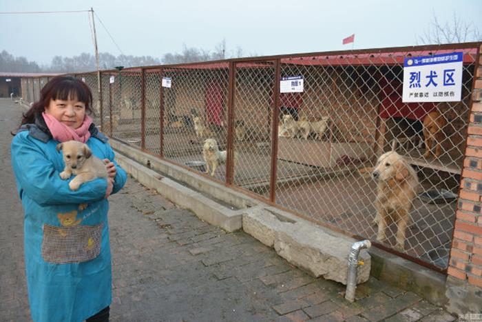 หญิงจีนขายกิจการร้านอาหาร ช่วยชีวิตสัตว์เลี้ยงไปแล้วกว่า 6,000 ตัว ในระยะเวลา 16 ปี!!