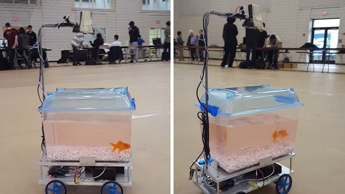 ‘หุ่นยนต์ตู้ปลาเคลื่อนที่’ อุปกรณ์พาปลาไปเดินเล่นด้วยตัวเอง ว่ายไปทางไหนก็ไปทางนั้น