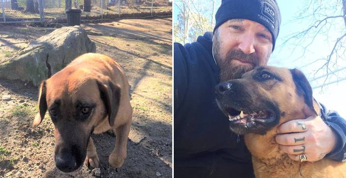 Shelby หมาที่ถูกเจ้าของทิ้งให้อยู่เพียงลำพัง 2 ปี ถูกช่วยไว้และกลับมาไว้ใจมนุษย์อีกครั้ง