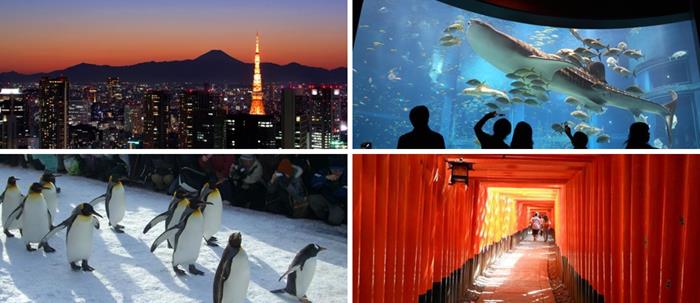 20 อันดับสถานที่ท่องเที่ยว ซึ่งชาวต่างชาติโหวตว่าน่าไปที่สุดในญี่ปุ่น และคุณไม่ควรพลาด..