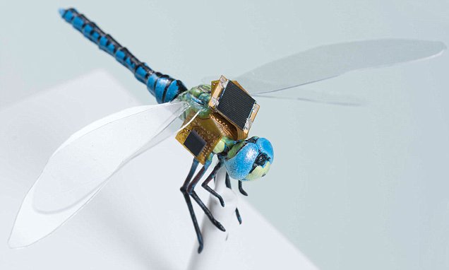 นักวิทย์คิดค้น “แมลงปอไซบอร์ค” เทคโนโลยีควบคุมแมลงปอ ให้กลายเป็นหุ่นยนต์ทำตามคำสั่ง