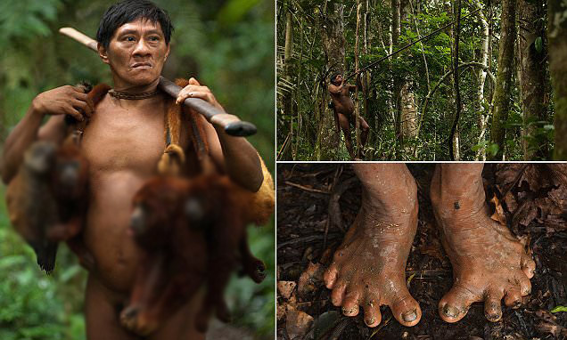 วิถีชีวิตชนเผ่าโบราณ Huaorani ใช้เวลาส่วนใหญ่ปีนต้นไม้ และออกล่า ‘ลิง’ เป็นอาหาร!!