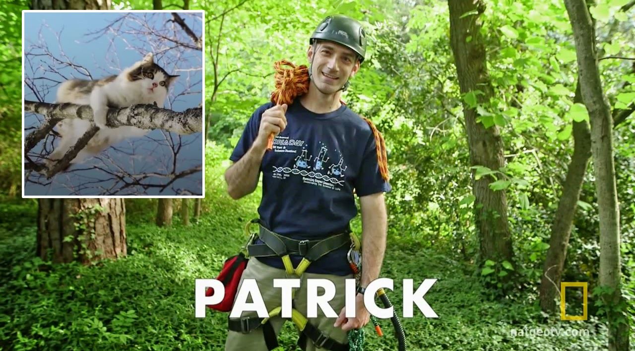จากความชอบปีนต้นไม้ กลายเป็นอาชีพของ Patrick Brandt ผู้ทำงาน “นักกู้ภัยแมว”