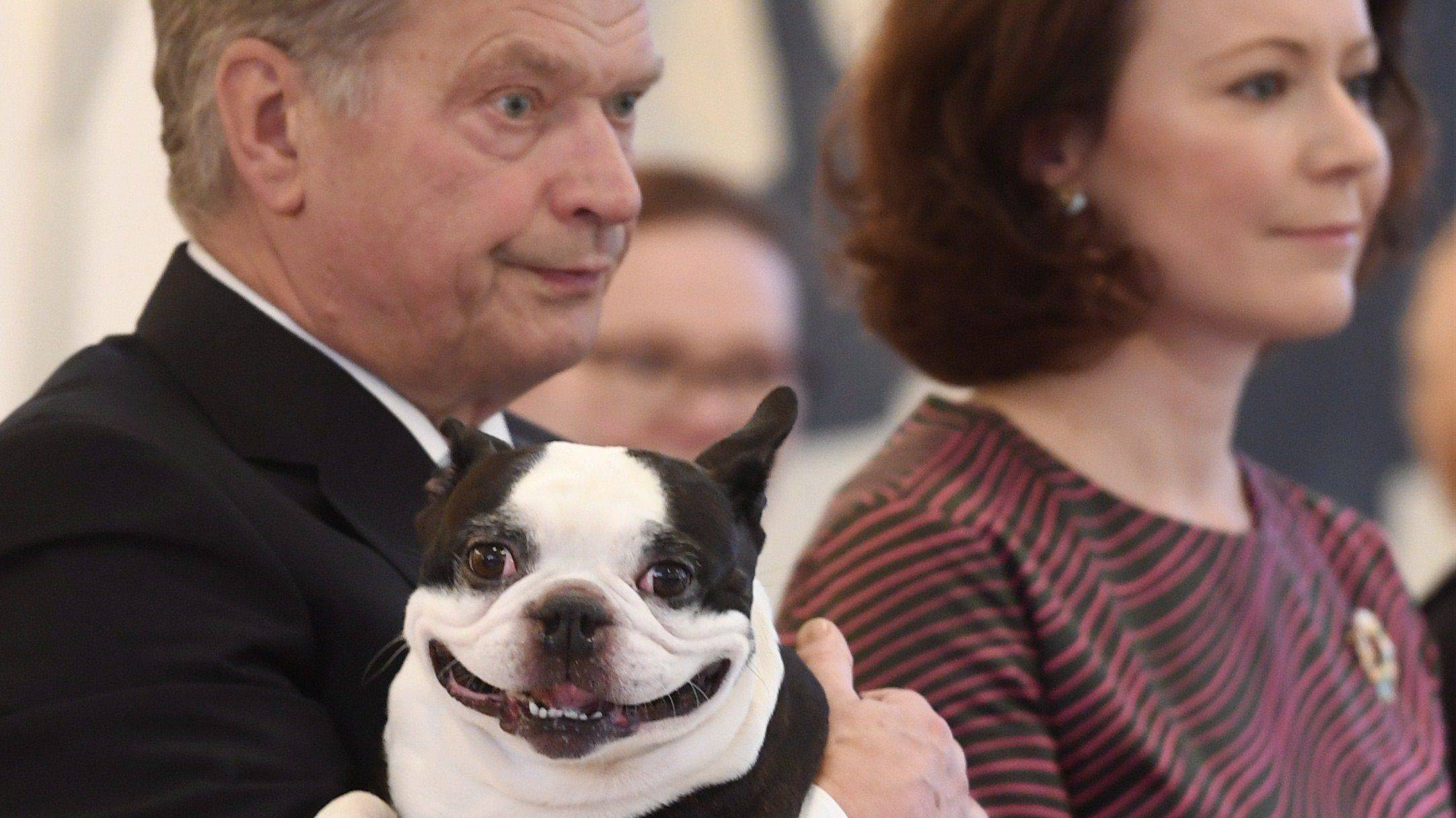 เมื่อประธานาธิบดีฟินแลนด์พาหมาไปออกงานด้วย ทำยิ้มแฉ่งแย่งซีน แชร์กันว่อนโซเฃียล!!