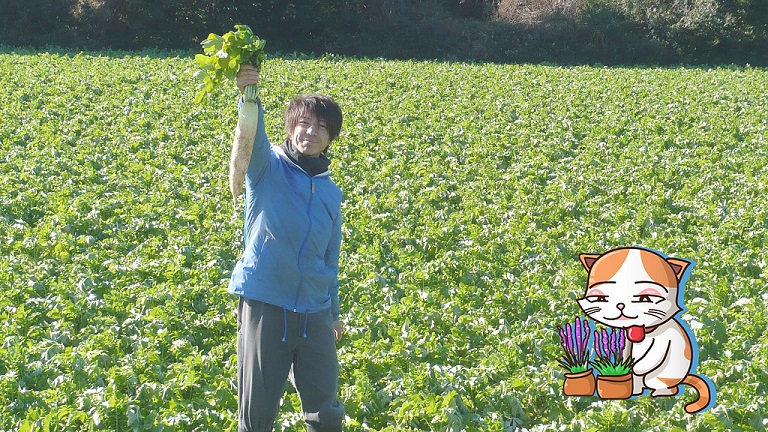 ไปกันไหม? ญี่ปุ่นเตรียมเปิดรับเด็กจบสาขาเกษตรไปทำงานที่นู่น พักยาวๆ 3-5ปี