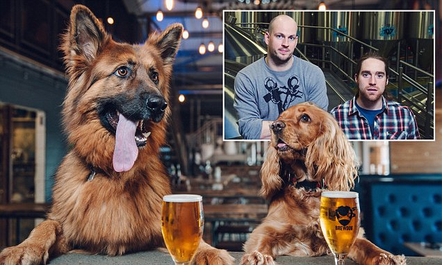 บริษัทเบียร์ ให้พนักงานลาพักได้อาทิตย์นึง เงื่อนไขถ้าพวกเขา “รับเลี้ยงสุนัขตัวใหม่”!!