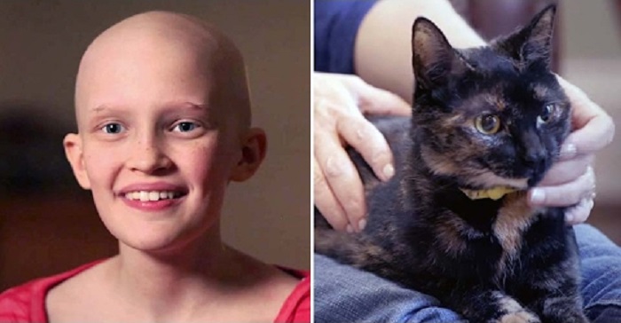คำขอสุดท้ายของเด็กสาว “อยากรับเลี้ยงแมว” ก่อนที่มะเร็ง จะพรากชีวิตของเธอจากไป…