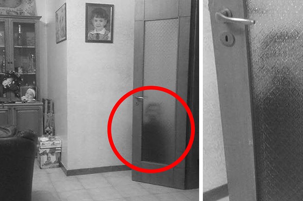 ชาวเน็ตร่วมแชร์ภาพความหลอน ตื่นมาเข้าห้องน้ำกลางดึก แล้วเจอสัตว์ประหลาดอยู่หลังประตู!??