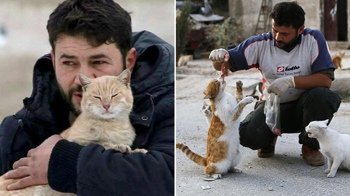 พ่อพระแมวแห่งอเลปโป กลับมาฟื้นชีพ “สถานสงเคราะห์แมว” ที่ถูกทำลายจากสงครามซีเรีย