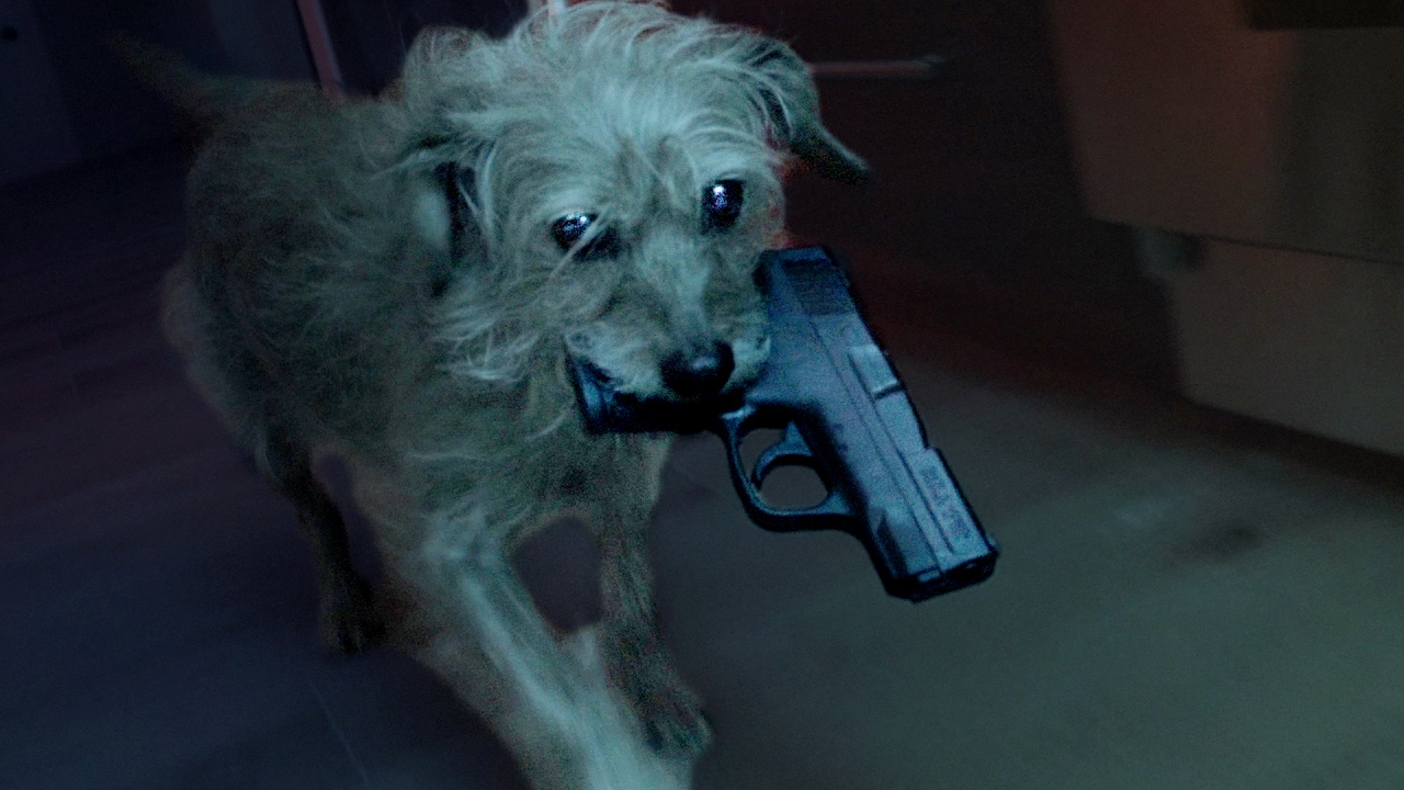 ตัวอย่าง “Dog Wick” เมื่อหมาออกมาคาบปืนล้างแค้นให้ John Wick ที่ถูกมาเฟียฆ่าตาย!!
