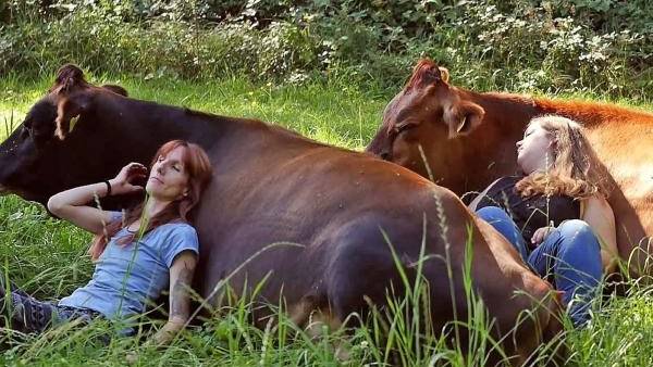 สาวเปิดคอร์สบำบัดน่ารักๆ ด้วย ‘การกอดวัว’ ช่วยผ่อนคลายและลดความเครียดได้เป็นอย่างดี
