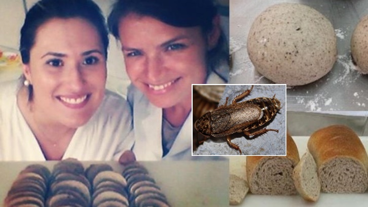 นักวิทย์บราซิลผลิต “แป้งขนมปังจากแมลงสาบ” รสชาติไม่แตกต่าง อุดมไปด้วยโปรตีนสู๊งสูง