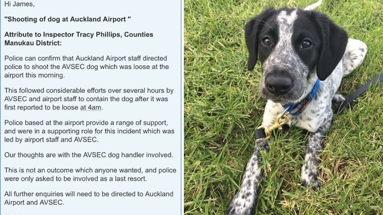 พนักงานสนามบิน ‘สั่งตำรวจยิงสุนัขรักษาความปลอดภัย’ หลังหลุดออกไป จนจับตัวไม่ได้!!