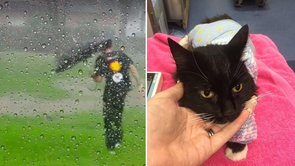 ฮีโร่ตัวจริง!! หนุ่มออสซี่ตัดสินใจฝ่าพายุฝนพัดกระหน่ำ เพื่อเข้าไปช่วยชีวิตลูกแมวตัวน้อยออกมา