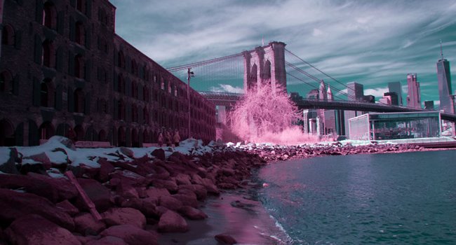 ช่างภาพหนุ่ม ถ่ายภาพนิวยอร์กแบบอินฟาเรด โทนสีที่ต่ำกว่าแดงกลายเป็นชมพูทั้งใบ…