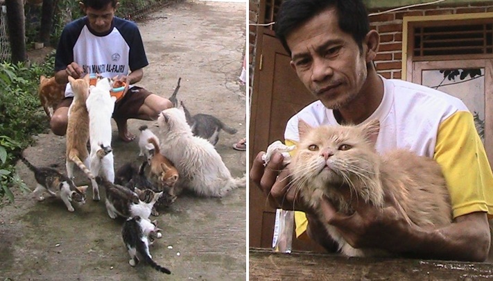 คุณลุงผู้เมตตา ทุ่มเททั้งใจช่วยเหลือแมวจรจัดทุกตัวในหมู่บ้าน เพื่อให้ชีวิตพวกมันดีขึ้น!!
