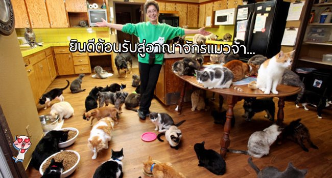ทาสแมวตัวจริง! หญิงสาวผู้อยู่อาศัยร่วมกับแมวมากกว่า 28,000 ตัว ในบ้านหลังเดียวกัน