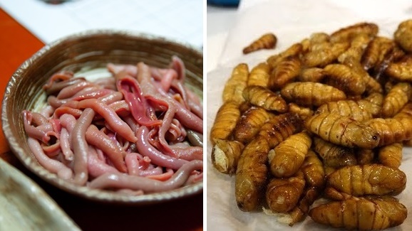 “10 อันดับอาหารแปลกประหลาด” จากเกาหลี ที่นักชิมต่างชาติ เห็นแล้วก็คิดหนัก!?