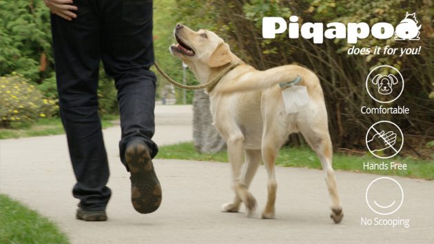 “Piqapoo” อุปกรณ์ติดหางสุนัข ขจัดปัญหาทิ้งระเบิดเรี่ยราด ใช้แล้วทิ้งลงขยะได้ทันที!!