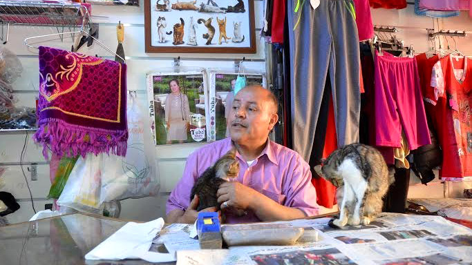 เจ้าของร้านขายผ้า อีกร่างก็คือทาสแมว สร้าง “สถานพักพิงแมวจร” อยู่กลางตลาดซะเลย