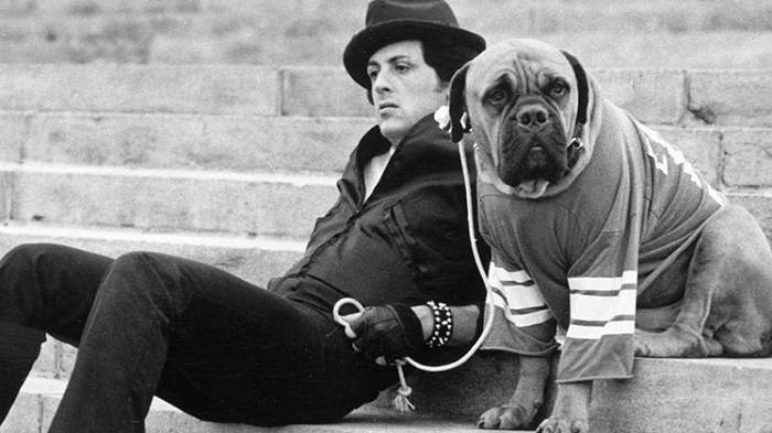Sylvester Stallone ชายผู้เคยตกอับ ขนาดที่ขายสุนัขตัวโปรดในราคาแค่ 25 เหรียญเท่านั้น