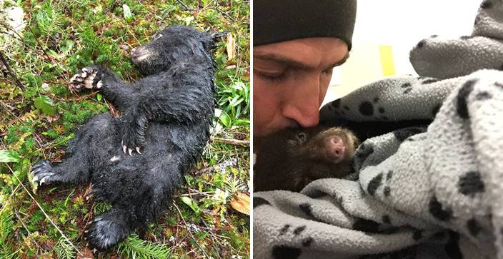หนุ่มพบ ‘ลูกหมี’ สภาพร่อแร่ขณะเดินป่า เสี่ยงชีวิตตัวเองเข้าช่วยเหลือ จนมันรอดชีวิต!!