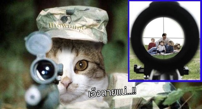 เผยเอกสารลับจาก CIA เคยจะตั้งโครงการใช้แมวเป็นสายลับ เพื่อไปสอดแนมในรัสเซีย!!