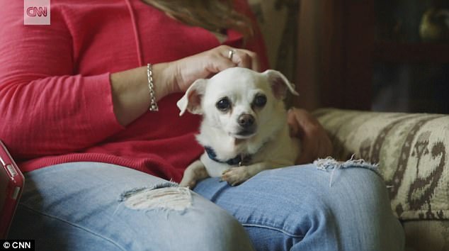 คู่รักจากนิวเจอร์ซีย์ สร้างบ้านพักให้น้องหมาใกล้ตาย เพื่อมอบความสุขตลอดช่วงชีวิตที่เหลือ