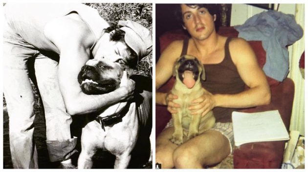 Sylvester Stallone เผยชีวิตช่วงตกอับ เคยต้องขายหมาแสนรัก 1,500 และซื้อกลับมาหลักแสน