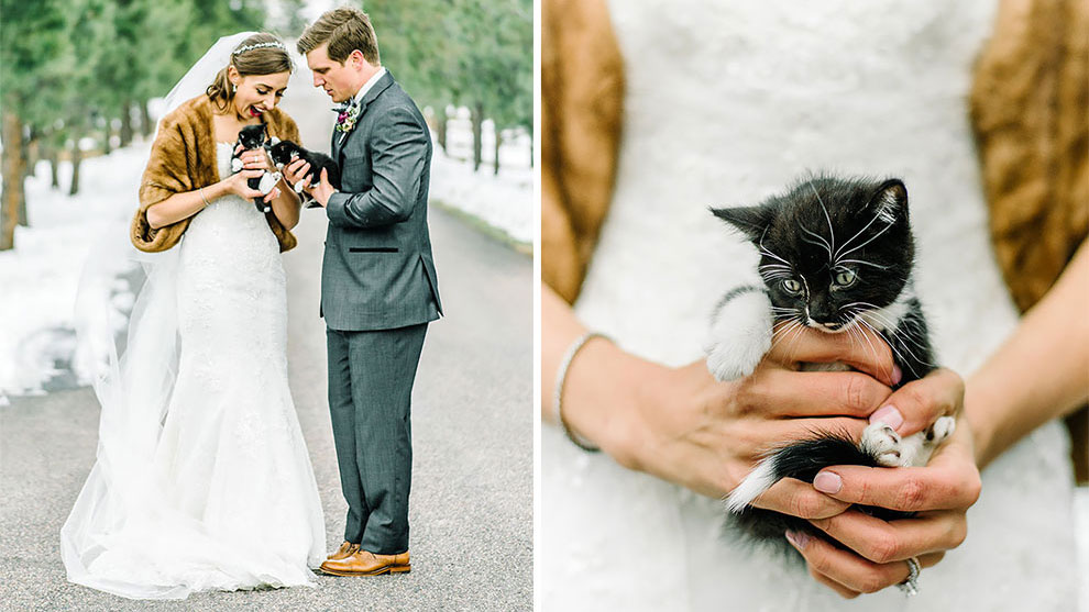 คู่รักเข้าพิธีแต่งงาน และได้เชิญ “มิ้วน้อย” มาเป็นแขกพิเศษ เพื่อส่งเสริมให้ทุกคนรักแมว