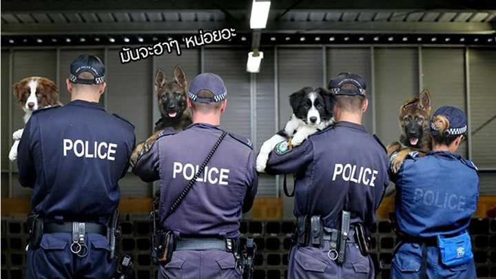 17 ภาพฮาๆ น่ารักๆ จากแฟนเพจตำรวจออสเตรเลีย ที่ทำให้รู้ว่าแท้จริงแล้ว “ตำรวจเป็นคนตลก”