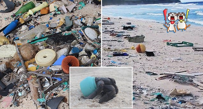 ทีมสำรวจแทบสิ้นหวัง เมื่อพบขยะพลาสติกจำนวนมาก บนเกาะห่างไกลกว่า 4,800 กิโลฯ