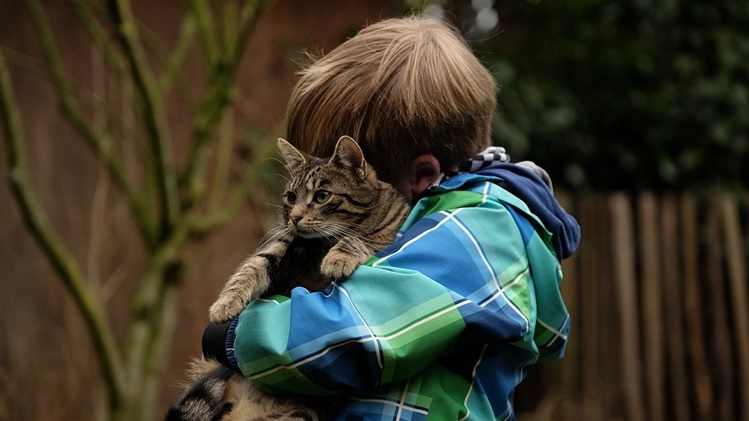 โอกาสมาถึงแล้ว… คลินิกแมวไอร์แลนด์เปิดรับ “นักกอดแมวอาชีพ” งานเหมาะกับทาสแมวที่สุด!!