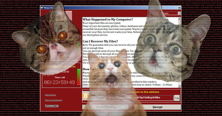 ชาวเน็ตร่วมแชร์ไวรัสแมว “NyanSomeware” ร้ายกว่าเรียกค่าไถ่ ติดแล้วต้องจ่ายด้วยแรงทาส!!