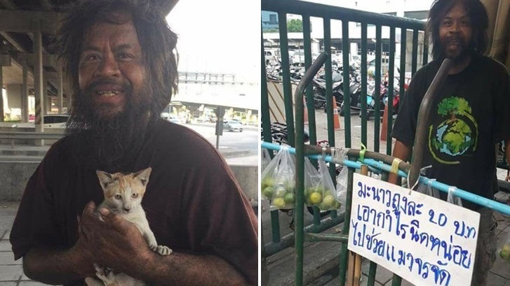 “ลุงดำ” ชายไร้บ้านที่ขายมะนาวเพื่อช่วยเหลือแมวจรจัด ยอมอดทนเพื่อให้แมวได้มีกิน…