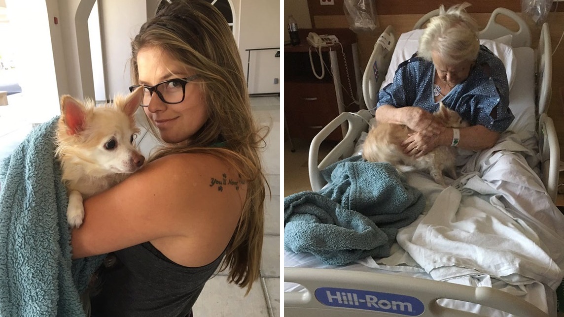 หลานสาวแอบลักพาตัวสุนัขของคุณยาย เข้าไปในโรงพยาบาล เพื่อไปให้กำลังใจเธอถึงที่!!