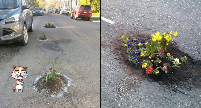 ชาวเมืองละเหี่ยใจ ถนนเป็นหลุมบ่อรัฐไม่ยอมมาแก้ งั้นก็เอามาปลูกดอกไม้แทนละกันนะ…