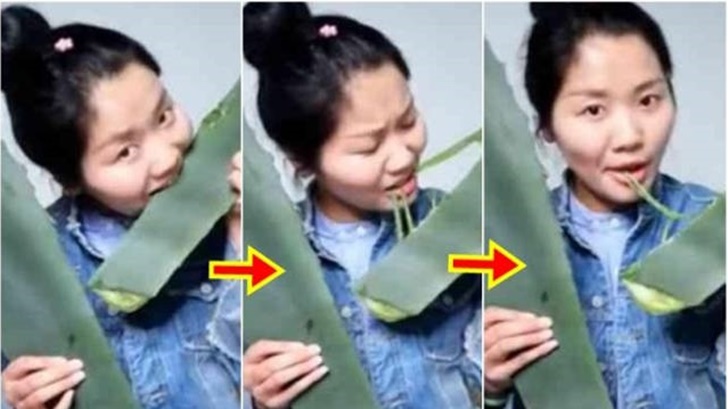 สาวจีนเข้าใจผิดคิดว่าเป็นว่านหางจระเข้ โชว์กินพืชมีพิษให้ดูสดๆ จนเกือบเอาชีวิตไม่รอด!!