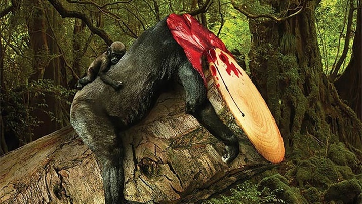 ภาพสะเทือนอารมณ์ จากแคมเปญต่อต้านการตัดไม้ทำลายป่า เพราะคุณกำลังฆ่าสัตว์อยู่…