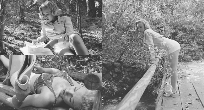 ชมชุดภาพถ่ายในป่าของ ‘มาริลิน มอนโร’ ก่อนที่เธอจะกลายมาเป็นคนดังตลอดกาล…