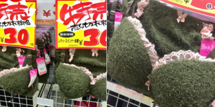 นี่คือ “บรา” สุดแหวกแนวที่มีราคาถูกที่สุดในญี่ปุ่น ใส่แล้วดูราวกับปลูกหญ้าเอาไว้บนเนินอก