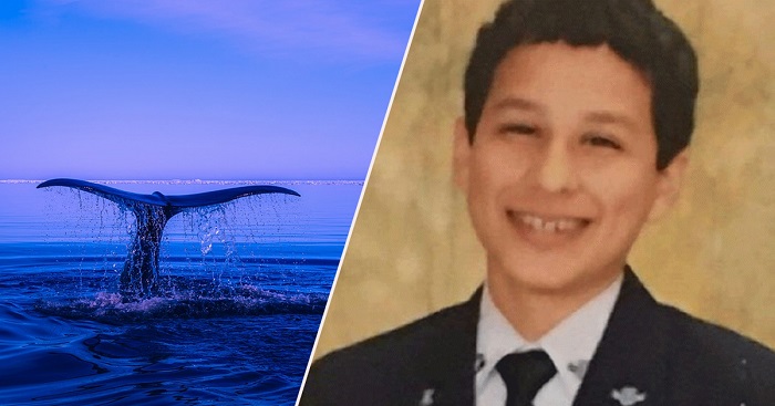 อีกแล้ว!! เด็กหนุ่มเสียชีวิต หลังเข้าร่วมเกมมรณะ “วาฬสีน้ำเงิน” ที่หลอกล่อให้คนฆ่าตัวตาย