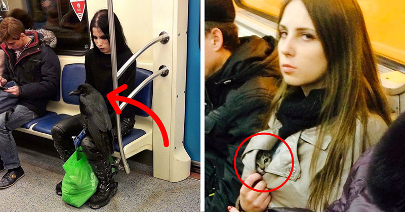 รวม 22 รูปภาพความแปลก-แหวก-ฮา ที่คุณไม่คิดว่าจะเจอภายในรถไฟใต้ดิน!?