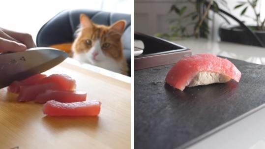 พ่อครัวมือดี ขอเอาใจเจ้านายด้วย “ซูชิสำหรับแมว” ที่โชว์ทักษะการใช้มีดแบบเทพสุดๆ