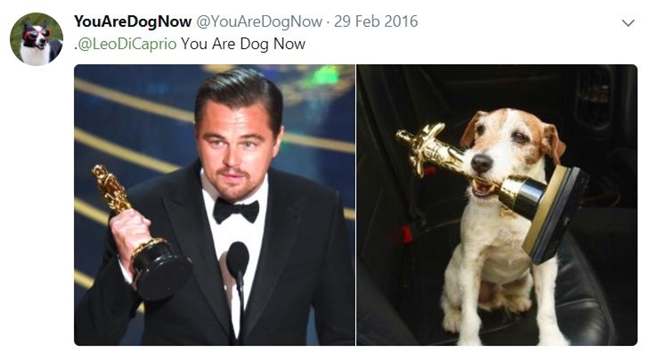 ‘YouAreDogNow’ ทวิตเตอร์จับคู่ภาพคุณและหมา ทุกท่าแม่มเหมือนเป๊ะ ใครๆ ก็เป็นหมาได้..!!