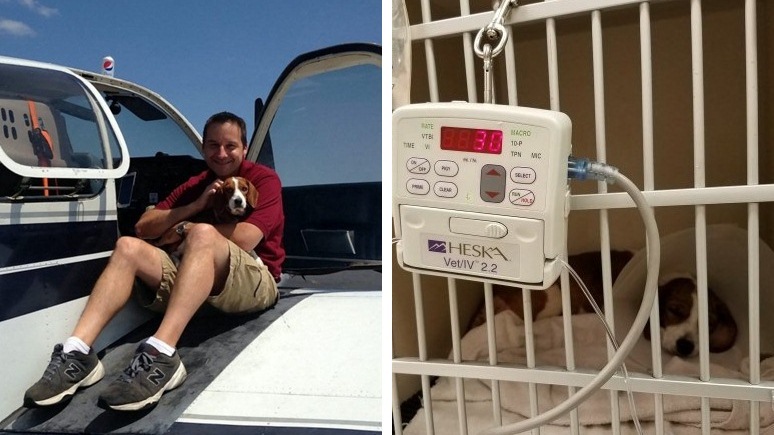 ชายหนุ่มขับเครื่องบินไกลกว่า 1,200 กิโลเมตร เพื่อช่วยชีวิตเจ้าหมา ที่เหลือเวลาแค่ 24 ชั่วโมง