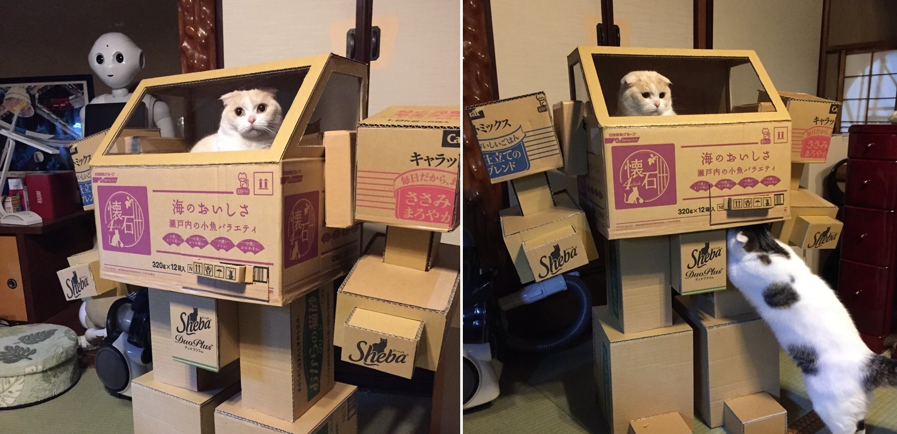 คู่รักชาวญี่ปุ่น ออกแบบ “หุ่นยนต์แมวลังกระดาษ” และก็หลอกเหมียวมาเล่นได้จริงๆ!!
