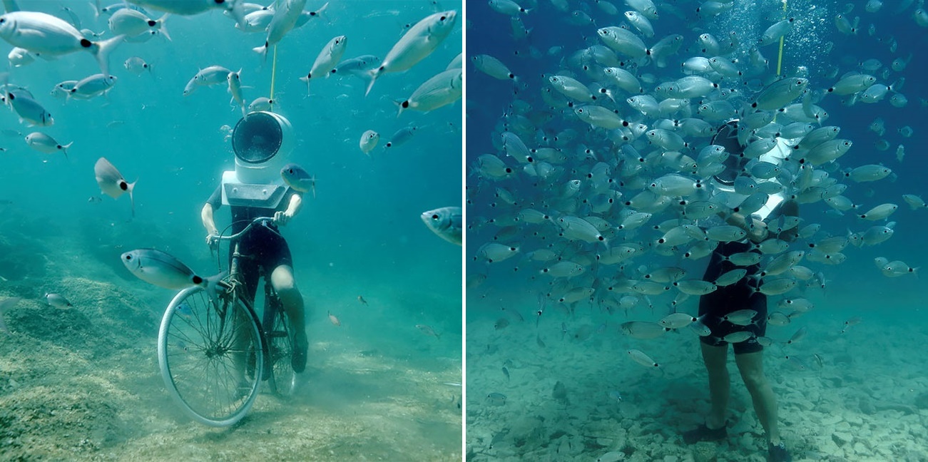 โครเอเชียเปิดบริการ “ท่องโลกใต้ทะเล” ให้คุณเดินเล่น-ปั่นจักรยาน ตะลุยไปกับเหล่าฝูงปลา