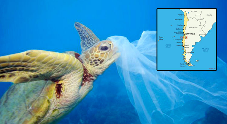 “ชิลี” กลายเป็นประเทศแรก ที่แบนถุงพลาสติกในเมืองติดทะเล เพื่อปกป้องทรัพยากรโลก..!!